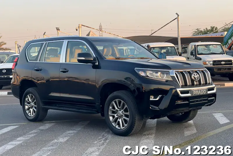Toyota / Land Cruiser Prado 2010